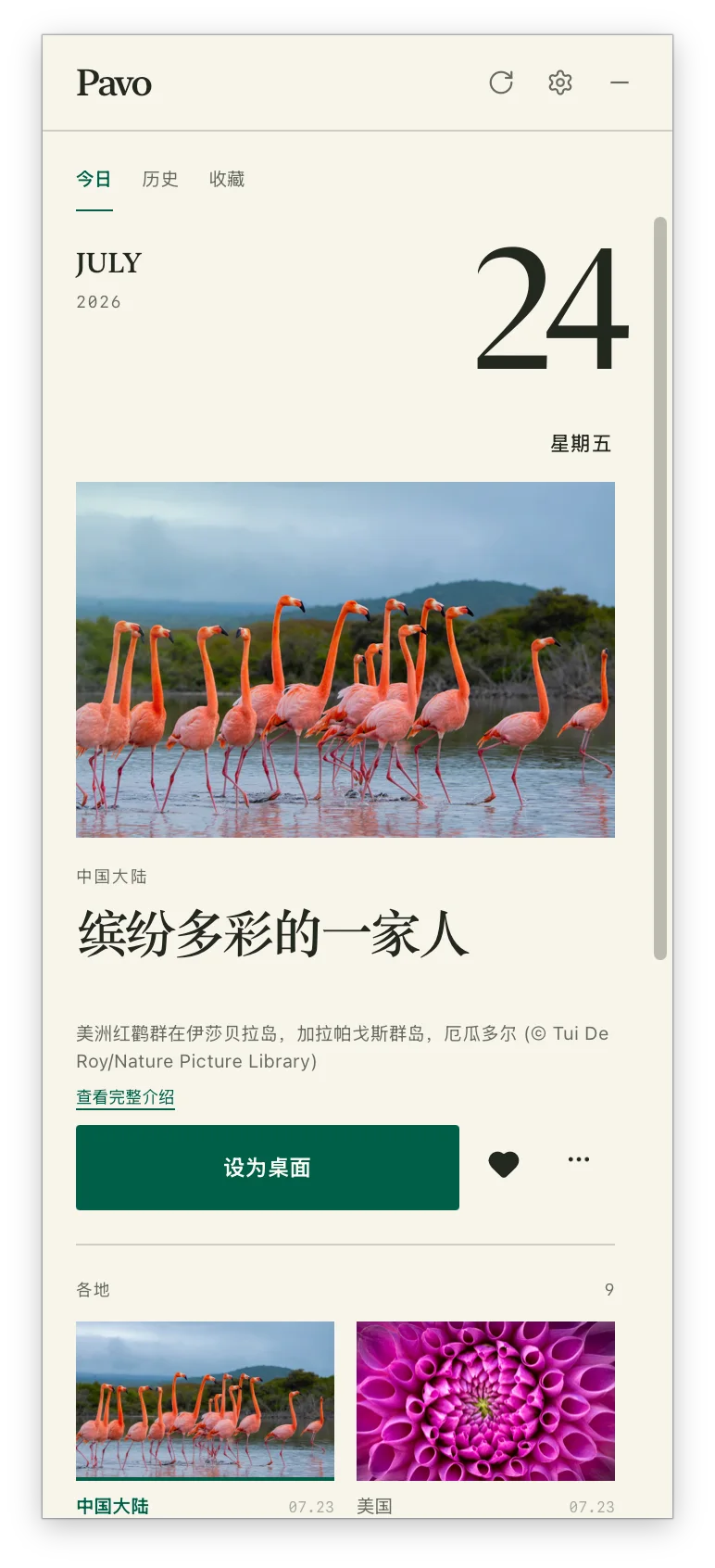 Pavo 浅色界面，展示 Bing 每日壁纸、收藏和设为桌面操作